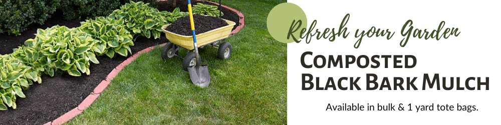 Black bark Mulch Black bark Mulch